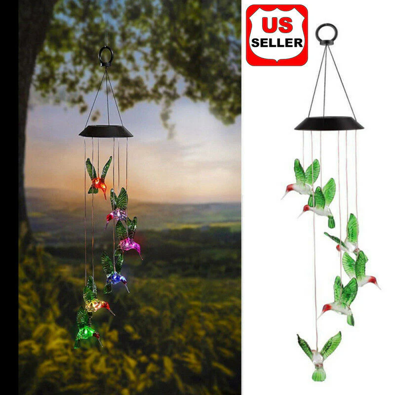 Clearance Sale - Solar Lighting Decor